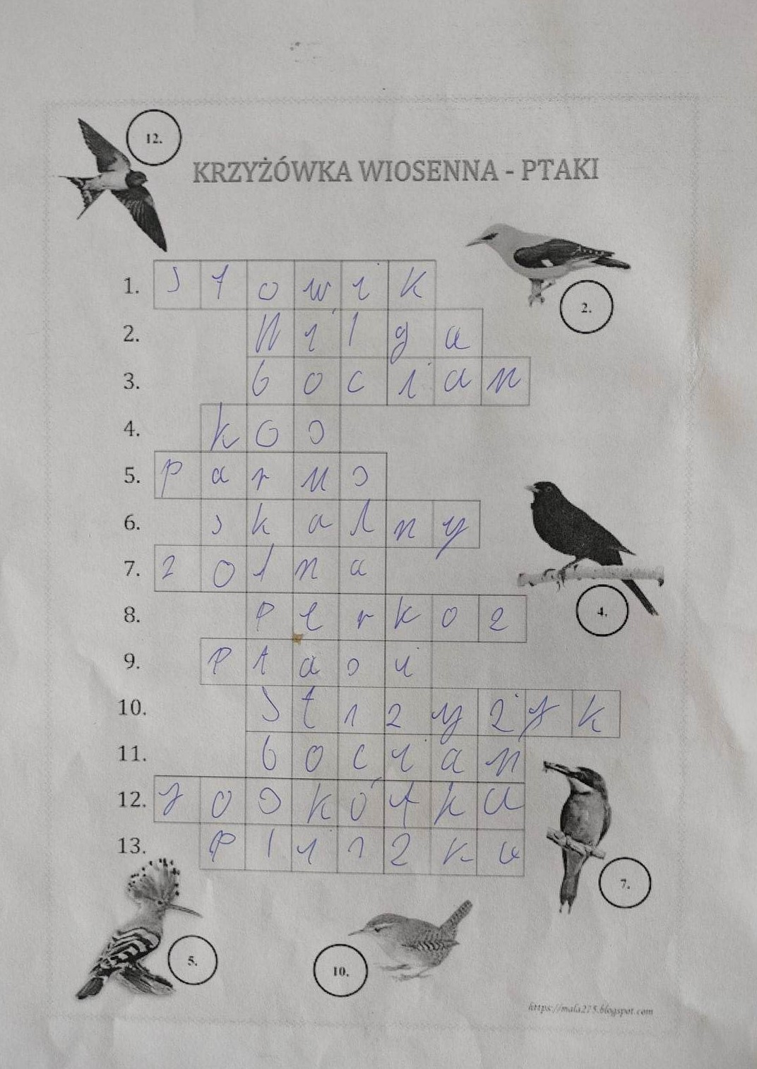 Na zdjęciu widać krzyżówkę 