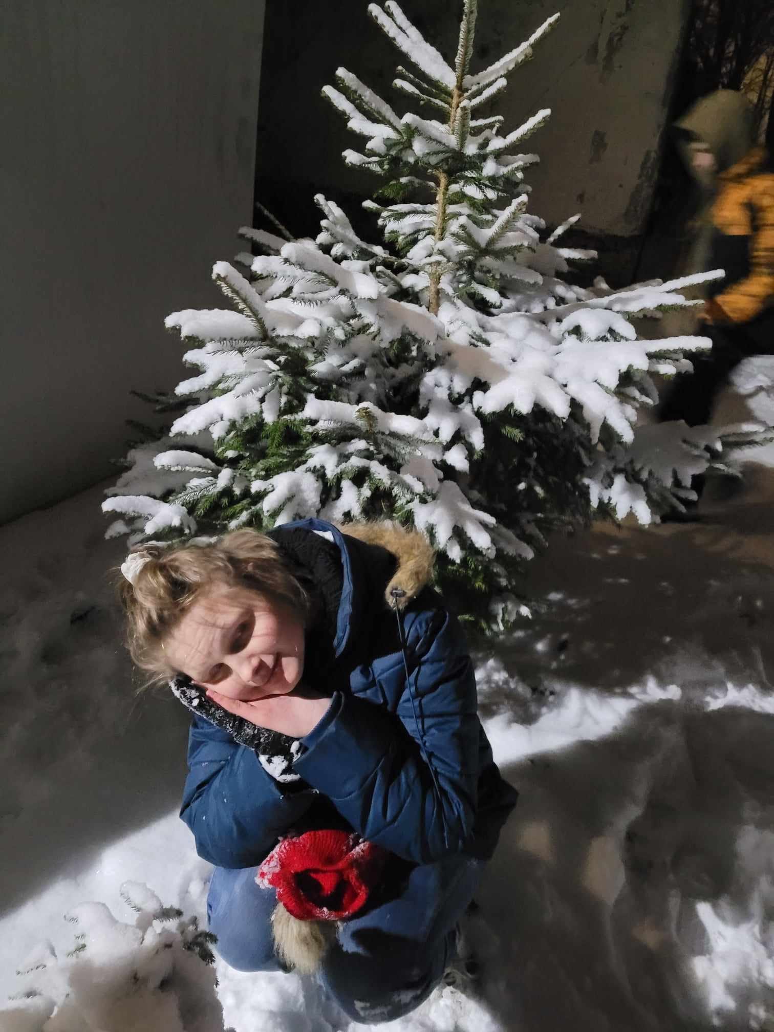 Osoba kuca przed choinka pokryta śniegiem 