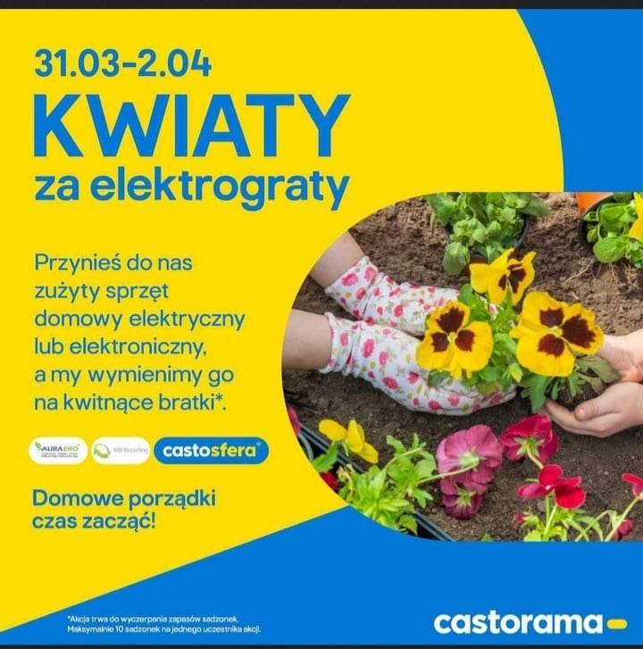Na żółtym tle niebieskie napisy . Po prawej stronie zdjęcie kwiatów . 