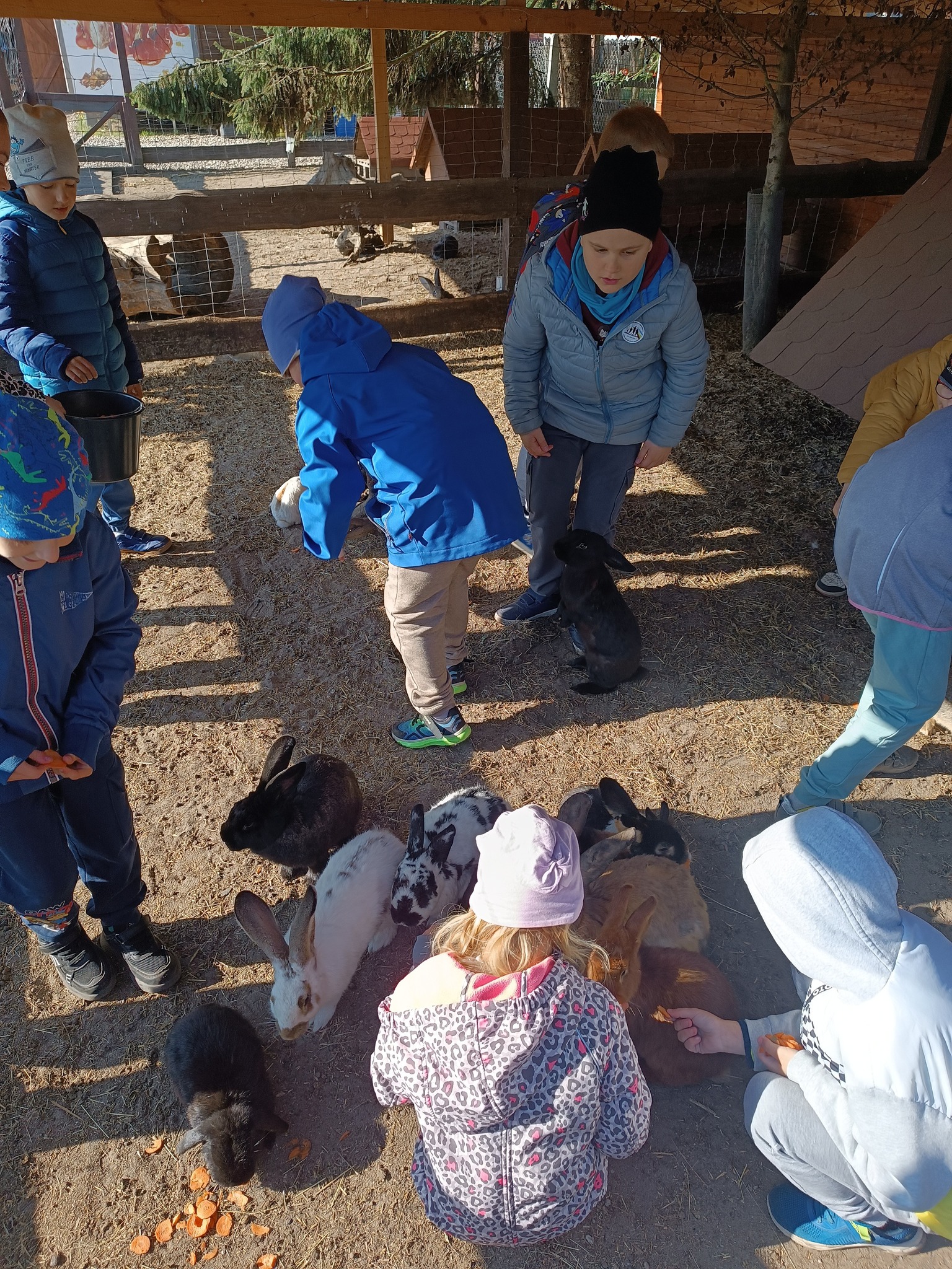 Na obrazku widać: grupę osób, zwierzeta