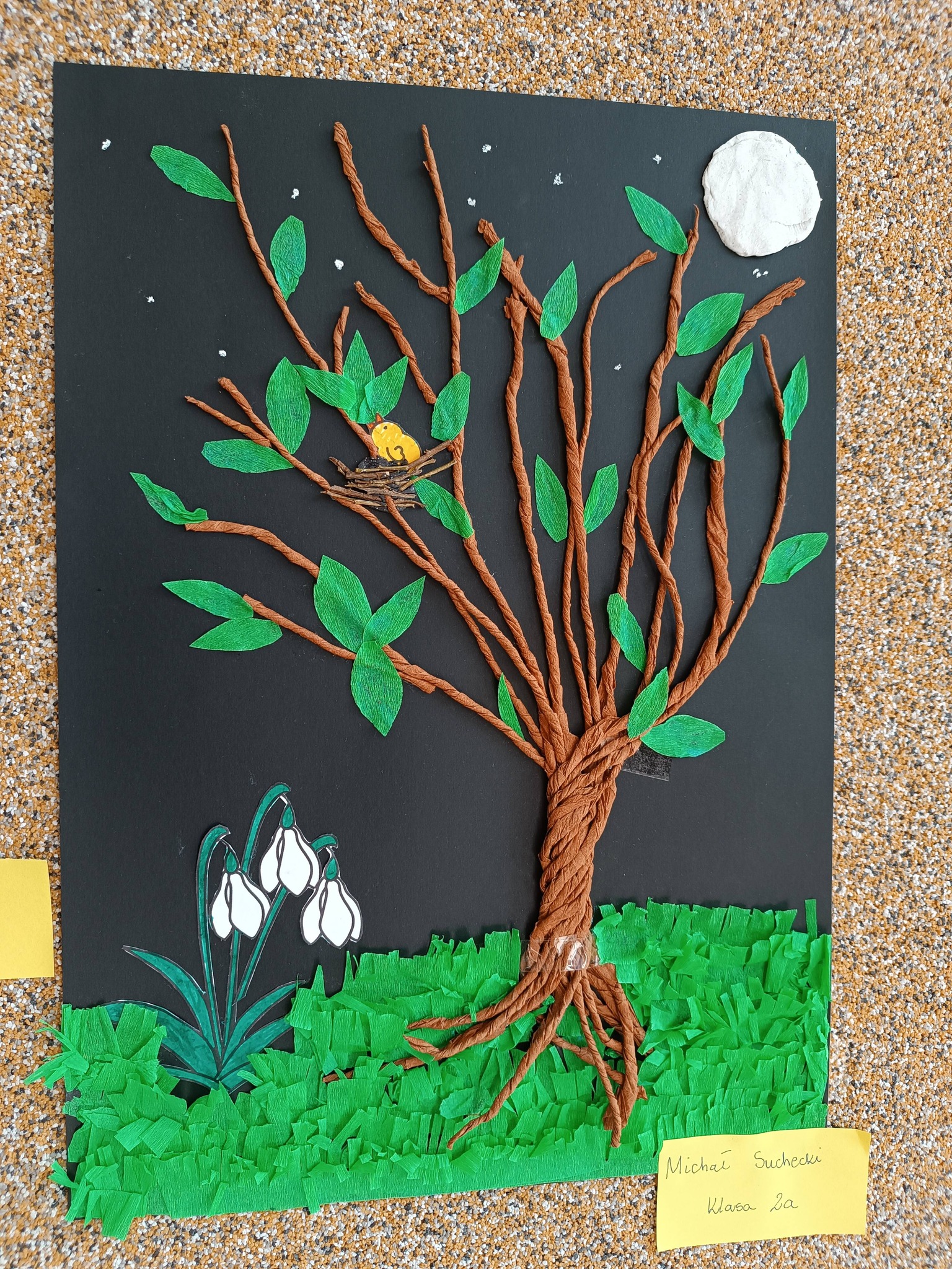 Na obrazku widać : grafikę 