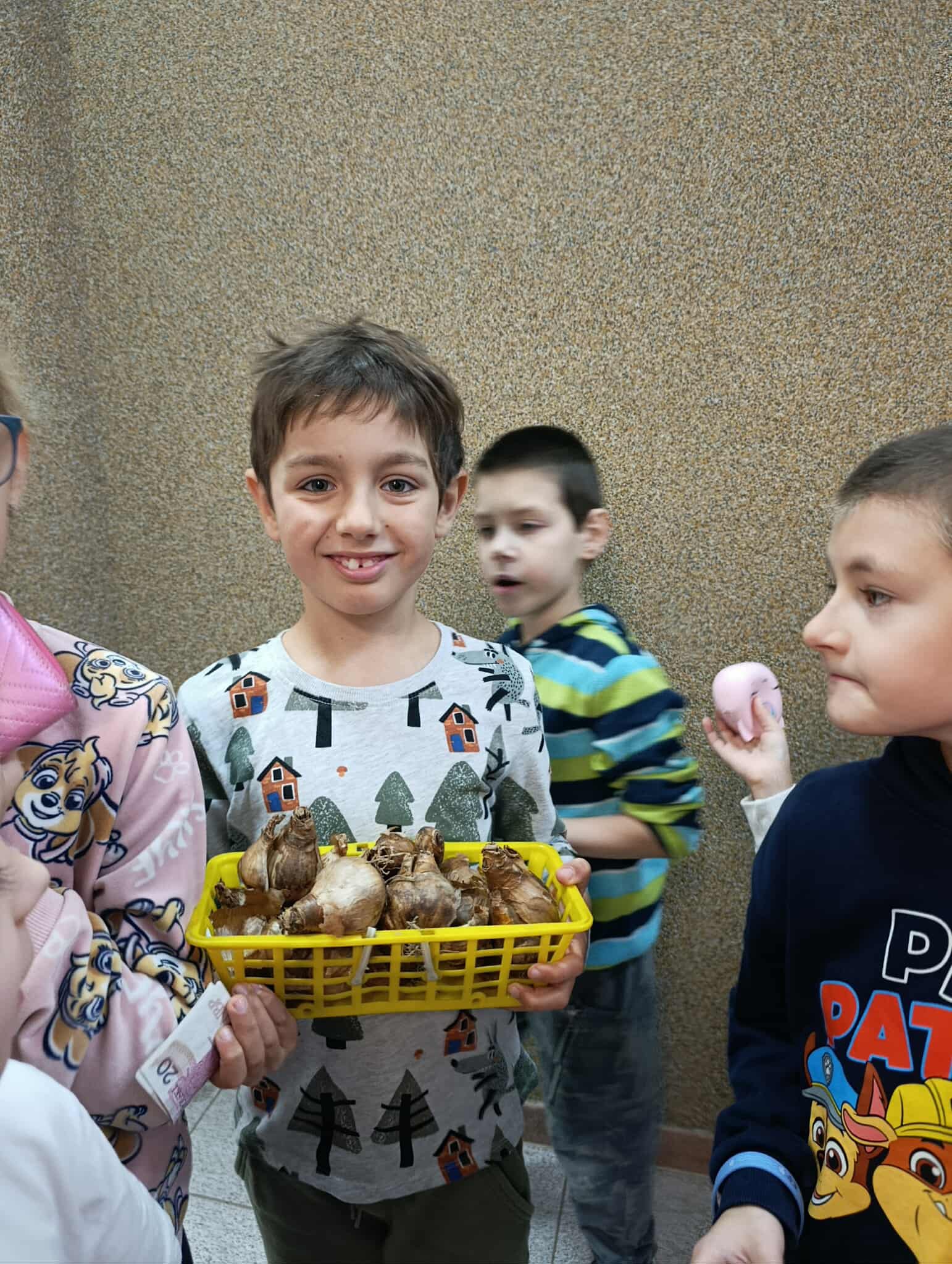 Na obrazku widać osoby, cebulki żonkili